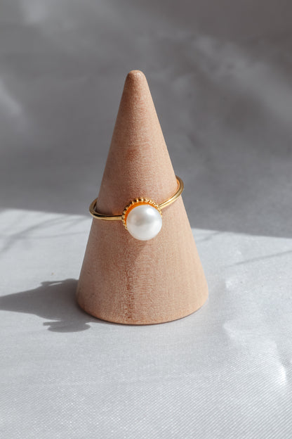 Anel Bird of Paradise