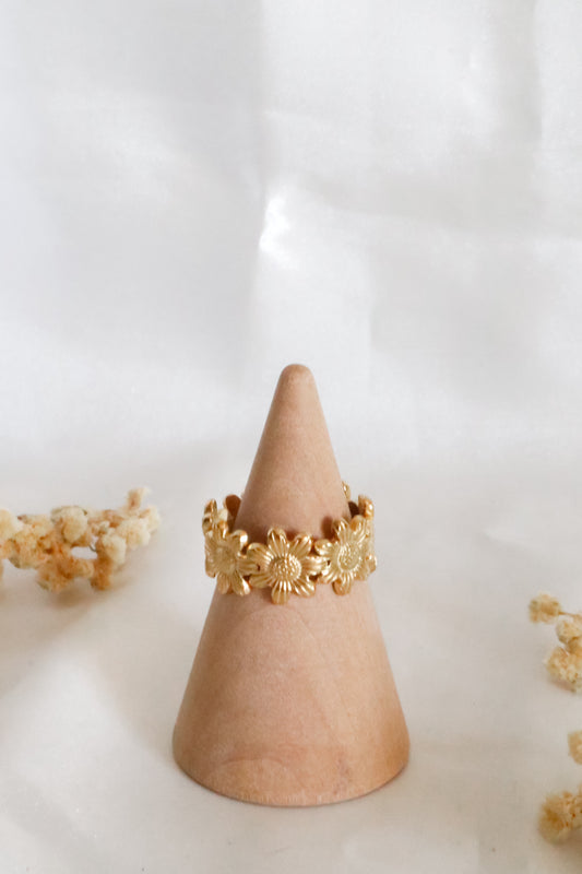 Anel Aurum
