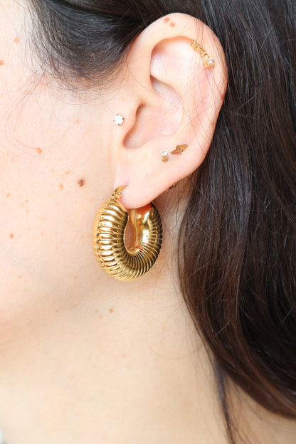 Argolas Rosewood Charm