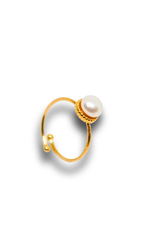 Anel Bird of Paradise